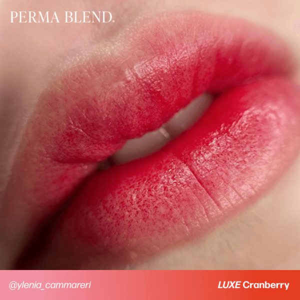 Perma Blend Luxe – Cranberry - immagine 3